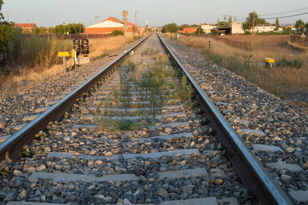 Torrijos Toledo Gün Batımında Arka Planda Evleri Olan Tren Rayları — Stok fotoğraf