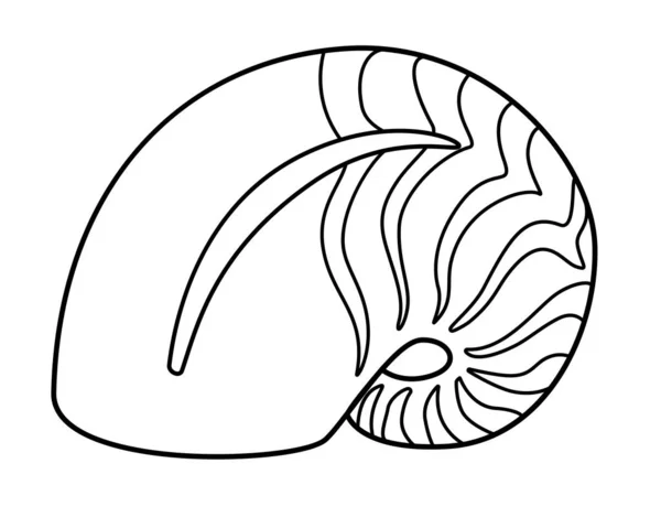 Nautilus Animale Marino Mollusco Guscio Nautilus Guscio Strisce Immagine Lineare — Vettoriale Stock