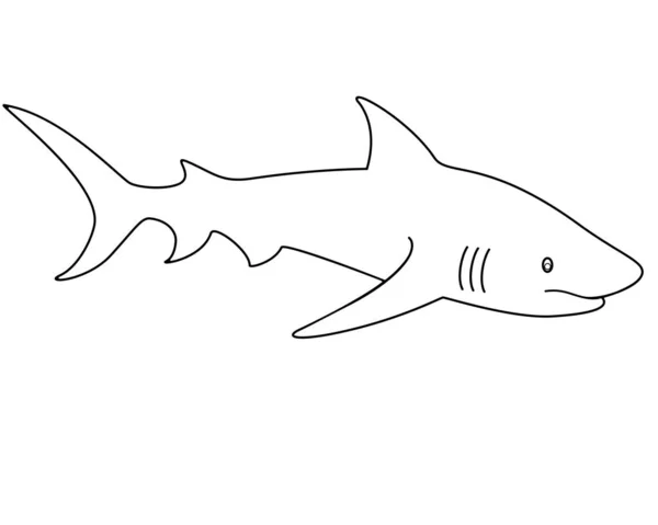 Shark Lineáris Vektoros Sablon Színezésére Vázlat Állati Cápa Halak — Stock Vector