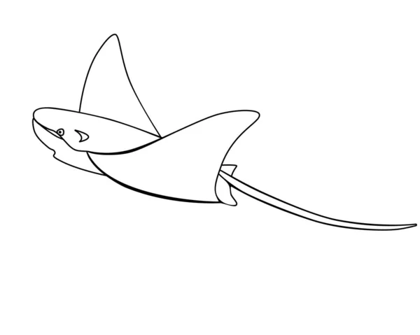 Rampa Eléctrica Rampa Manta Peces Animales Marinos Esquema Skat Calambres — Vector de stock