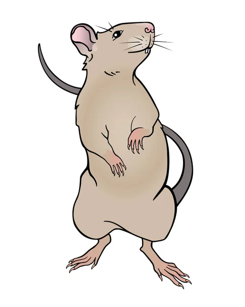 Couleur Beige Rat Tient Sur Ses Pattes Arrière Symbole Rat — Image vectorielle