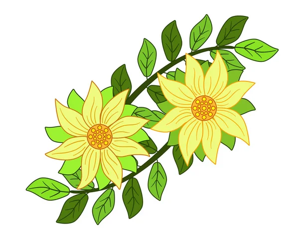 Yellow flowers with leaves. Decoration of two flowers against the background of leaves.