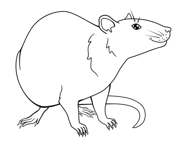 Leende Råtta Symbol För 2020 Kinesiska Nyåret Råtta Råtta Linjär — Stock vektor
