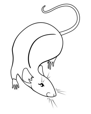 Sevimli gri sıçan - Çin burç sembolü. Sıçan - boyama için kemirgen evcil hayvan vektör doğrusal resim.