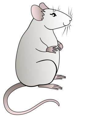 Sevimli bir yağ gri sıçan oturuyor. Sembol 2020 bir sıçan. Dekoratif sıçan - güzel evcil hayvan - vektör illüstrasyon.