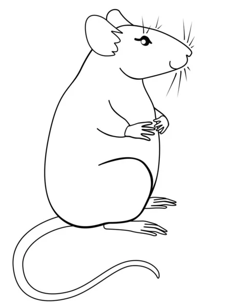 かわいい太った灰色のネズミが座っています シンボル2020はネズミです 装飾的なラット 素敵なペット 着色のための線形ベクトルイラスト — ストックベクタ