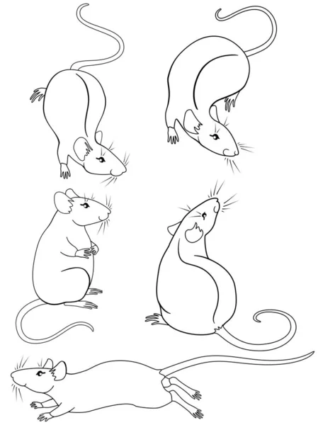 Set Lindas Ratas Decorativas Lineales Dibujos Animados Cinco Ratas Decorativas — Vector de stock