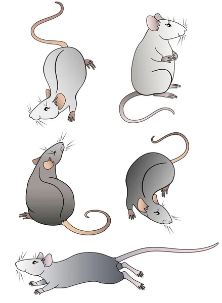 Reihe Von Niedlichen Cartoon Linearen Dekorativen Ratten Fünf Dekorative Ratten — Stockvektor