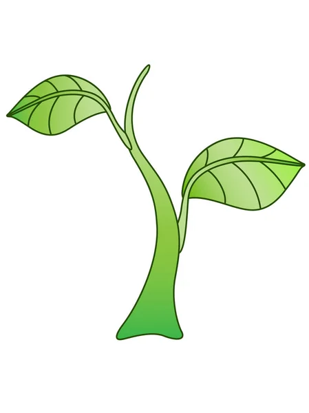 Broto Uma Planta Verde Jovem Pequeno Broto Talo Com Duas — Vetor de Stock