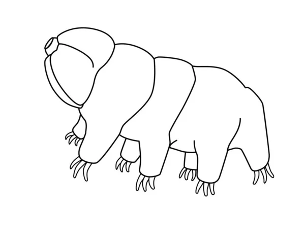 Tardigrade Imagine Vectorială Liniară Pentru Colorarea Animal Microscopic Tardigradele Sau — Vector de stoc