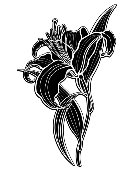 Lily Černá Silueta Velké Lilie Listy Stopkou Vektorová Ilustrace Lily — Stockový vektor