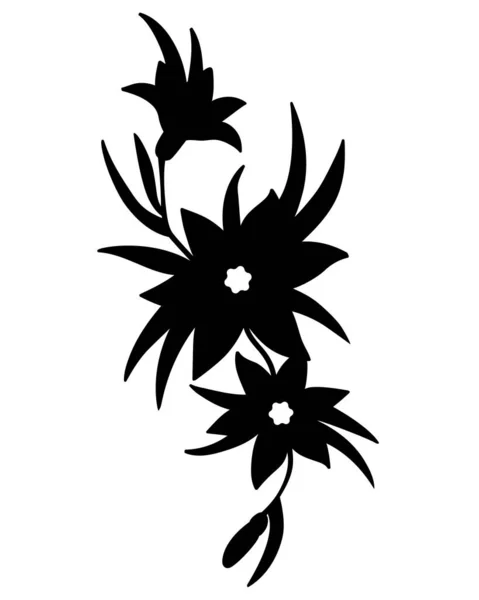 藤蔓上的花 黑色的矢量轮廓纹身 百合花和树叶 标识或标志用的黑色矢量轮廓 — 图库矢量图片