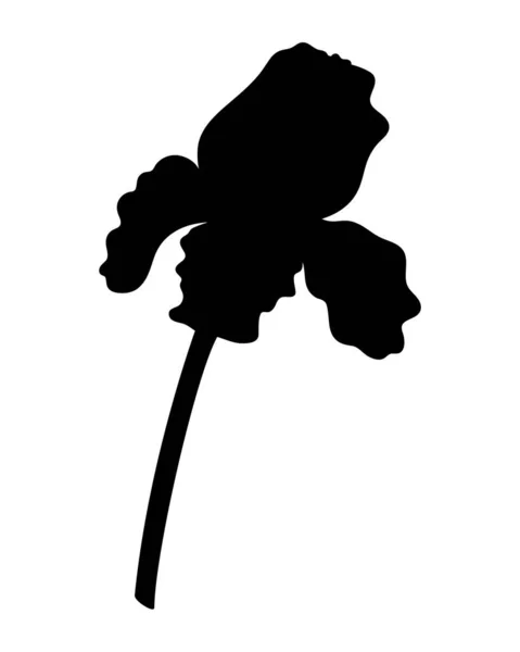 Fleur Iris Silhouette Noire Illustration Stock Iris Silhouette Noire Pour — Image vectorielle