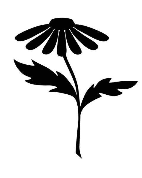 Rumianek Ogrodowy Czarna Sylwetka Ilustracja Wektorowa Tożsamości Korporacyjnej Rumianek Kwiat — Wektor stockowy