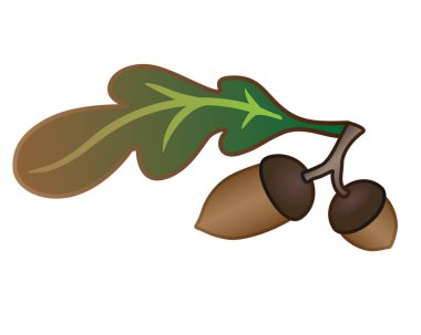 Meşe palamudu ve meşe yaprağı - vektör tam renk illüstrasyon. Sonbahar meşe yaprağı ve iki meşe palamudu. Meşe dalı