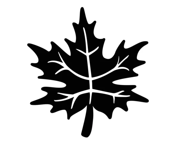 Maple Leaf - Pictogram veya logo için siyah vektör silueti. Akçaağaç yaprağı silueti - imza veya simge.