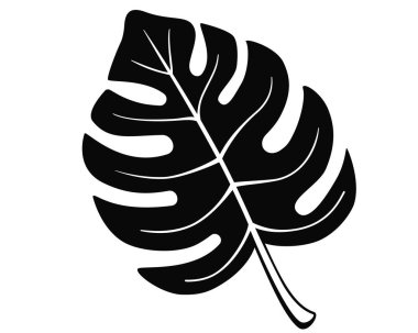 Canavar yaprağı - Pictogram veya logo için siyah vektör silueti. Palmiye yaprağı silueti - işaret ya da simge.