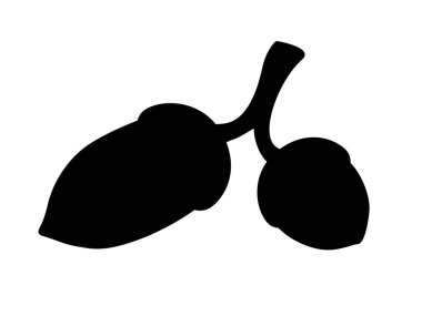 Daldaki meşe palamutları - piktogram veya logo için siyah vektör silueti. İki büyük ve küçük meşe palamudu - bir işaret ya da simge.