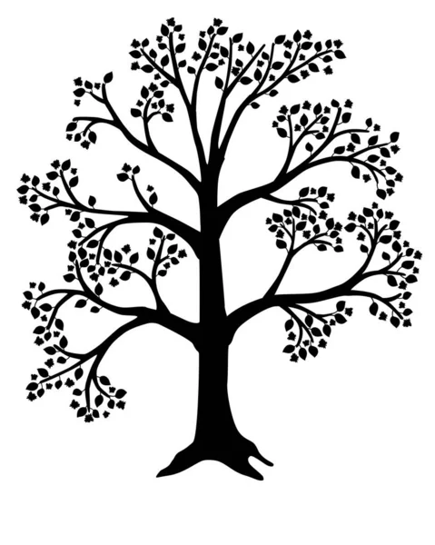 Arbre Silhouette Vectorielle Noire Pour Pictogramme Logo Arbre Avec Feuilles — Image vectorielle