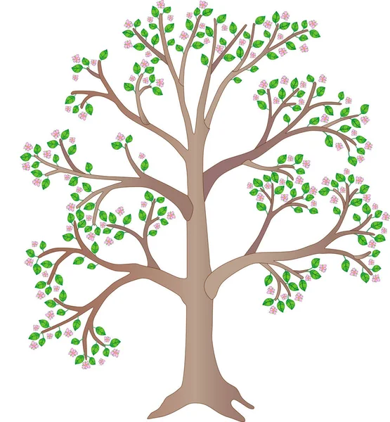 Дерево Цветущее Весеннее Дерево Полноцветное Изображение Растение Розовыми Цветами Зелеными — стоковый вектор
