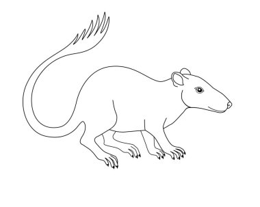 Purgatorius - nesli tükenmiş tarih öncesi primat - maymunların ve insanların atası - renklendirme için doğrusal stok çizimi. Purgatorius fosil bir hayvandır. İnsanoğlunun atasıdır. Primatların evrimi. Özet.