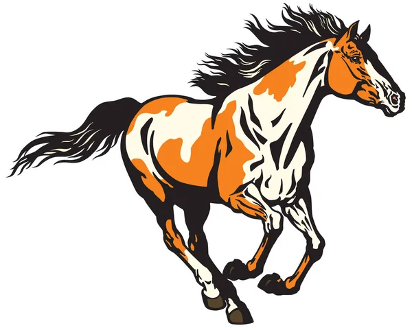 Galoppierendes Wildpferd Pinto Farbigen Pony Mustang Isolated Vektor Illustration — Stockvektor