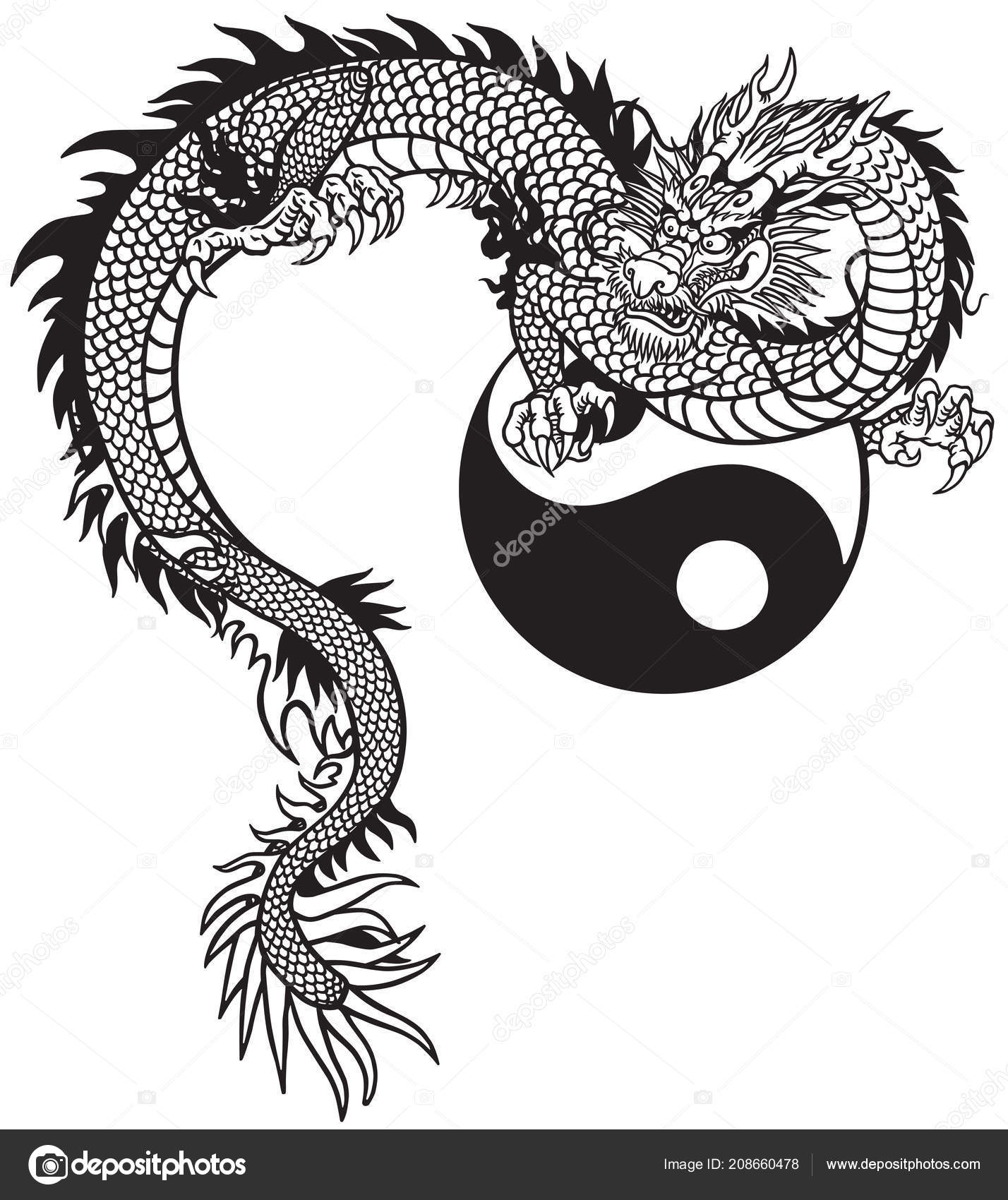 Eastern Dragon Yin Yang Symbol Black White Tattoo Vector Illustration Vector Image By C Insima Vector Stock Eastern Dragon Yin Yang Symbol Black White Tattoo Vector Illustration Vector Image By C Insima Vector Stock