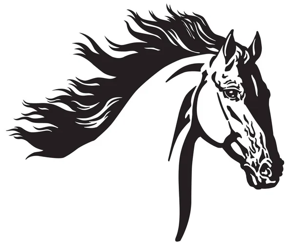 Cabeça Cavalo Selvagem Ilustração Vetorial Preto Branco — Vetor de Stock