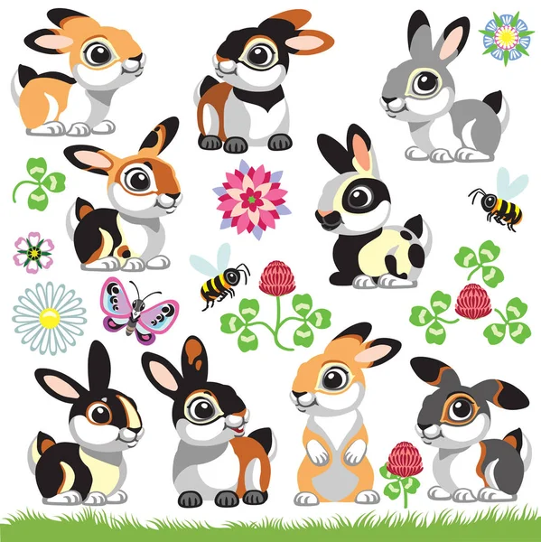 Set Cartoon Bunny Rabbit Different Coat Colors Collection Isolated Vector — Stock Vector