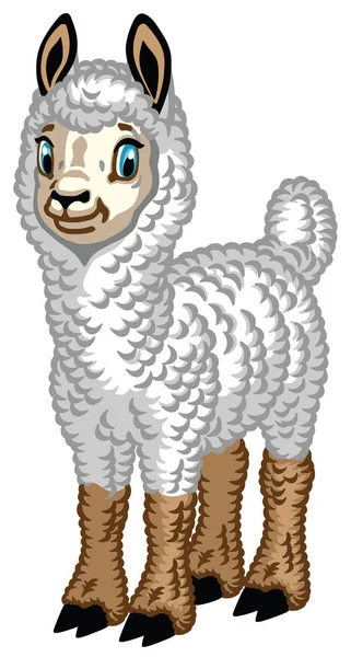 Cartoon Alpaca Geïsoleerd Wit Vectorillustratie Voor Kleine Kinderen — Stockvector