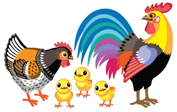 Ayam Kartun Ayam Jantan Dan Ayam Kecil Ilustrasi Vektor Diisolasi - Stok Vektor