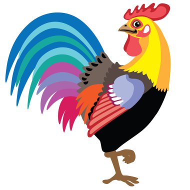 çizgi film horoz tek ayak üzerinde duran. Yan görünümü izole vektör çizim