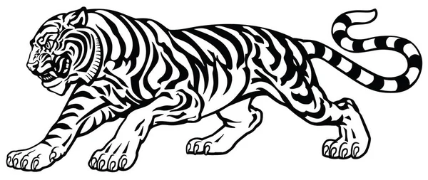 Angry Tiger Aggressive Attacking Pose Black White Tattoo Style Vector — Stock Vector