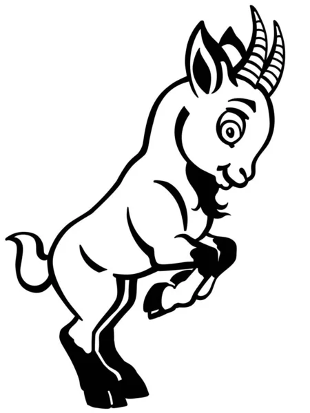Dessin animé bébé chèvre noir et blanc — Image vectorielle