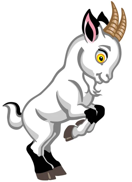 Cartoon white baby goat — Stock Vector