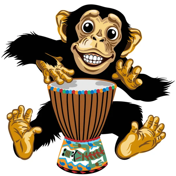 Cartoon chimp native African drummer — Stock Vector