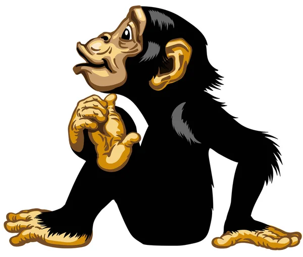 Sittande tecknad schimpans sidovy — Stock vektor