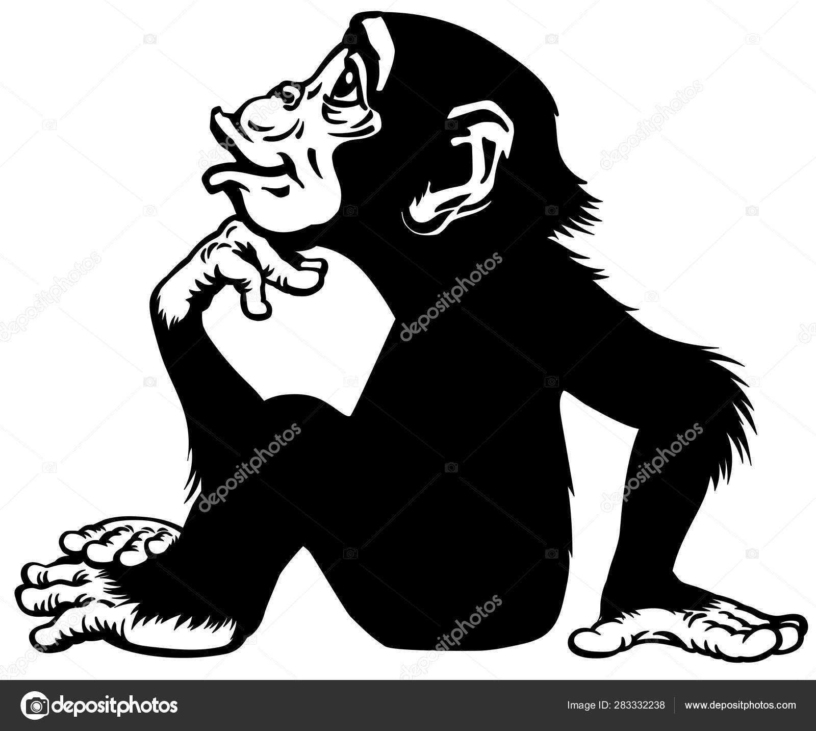 Macaco de desenho animado ou chimpanzé fotomural • fotomurais sessão,  sentar-se, sorridente