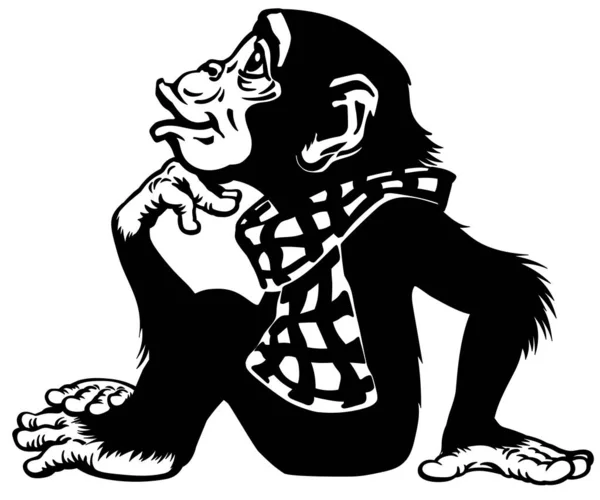Un chimpanzé portant une écharpe. Noir et blanc — Image vectorielle