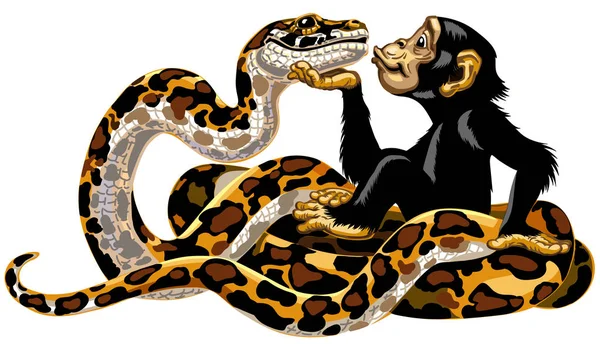 Caricature chimpanzé et python — Image vectorielle