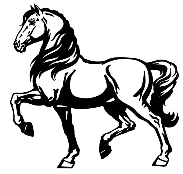 Έντονη πλευρική όψη αλόγου — Διανυσματικό Αρχείο