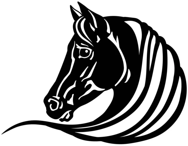 Kopf des schwarzen Pferdes — Stockvektor