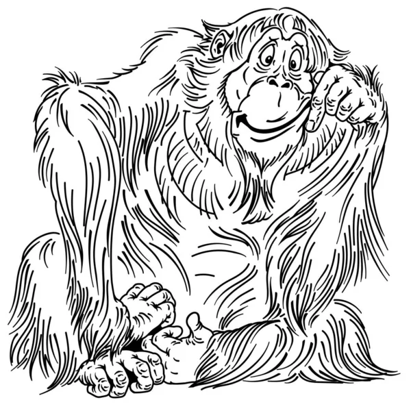 Dibujo animado orangután gran simio esquema — Archivo Imágenes Vectoriales