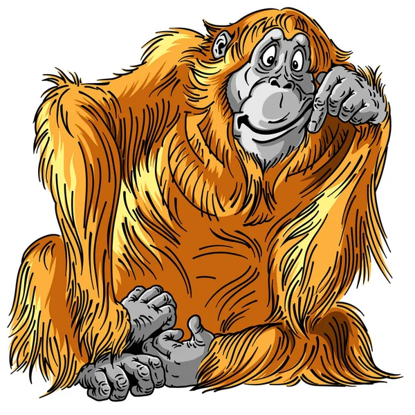 Dessin animé orang utan grand singe — Image vectorielle
