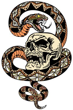 Yılan kafatasının etrafını sarmış.