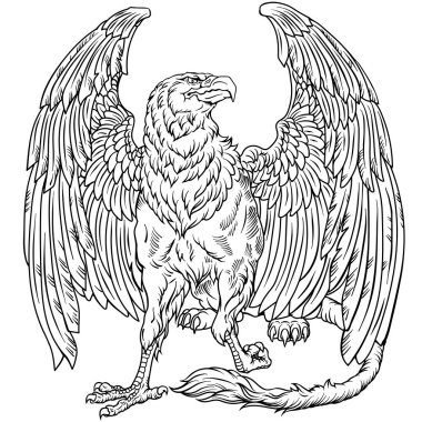 Griffin, Griffon ya da Gryphon. Bir aslanın vücuduna, kanatlarına ve bir kartalın başına sahip efsanevi bir canavar. Oturma pozisyonu, ön manzara. Siyah ve beyaz ana hatlı vektör çizimi