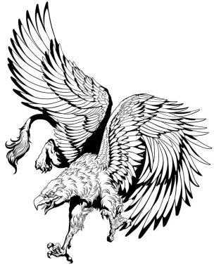 Uçan Griffin, Griffon veya Gryphon. Bir aslanın vücuduna, kanatlarına ve bir kartalın başına sahip efsanevi bir canavar. Siyah ve beyaz vektör çizimi