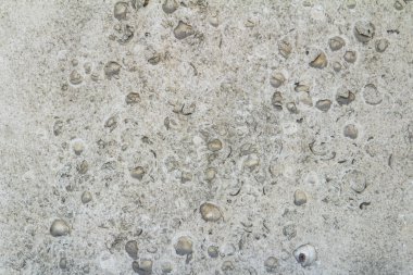 sarı beyaz beton duvar arka plan kireç tuğla krater