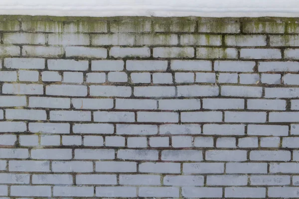 white brick wall with mold