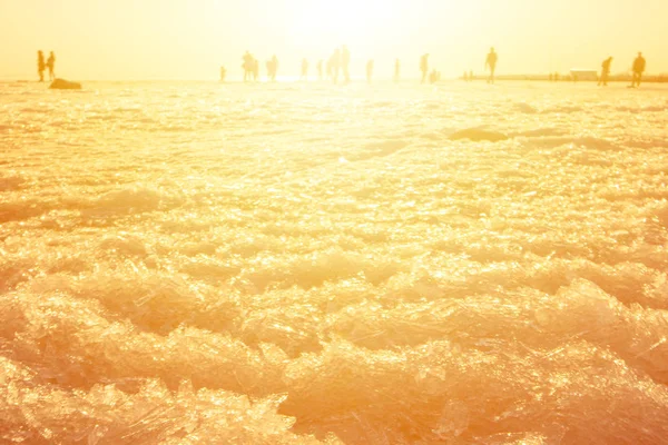 several people meet on the sea sunset